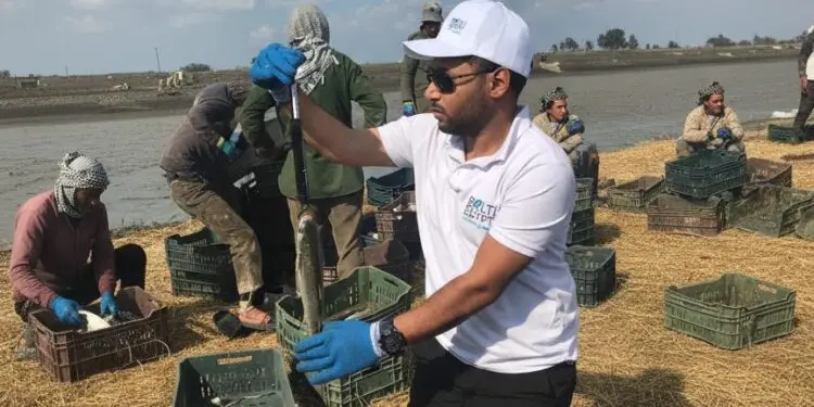 Wasseem Emam leads ethical change in African aquaculture